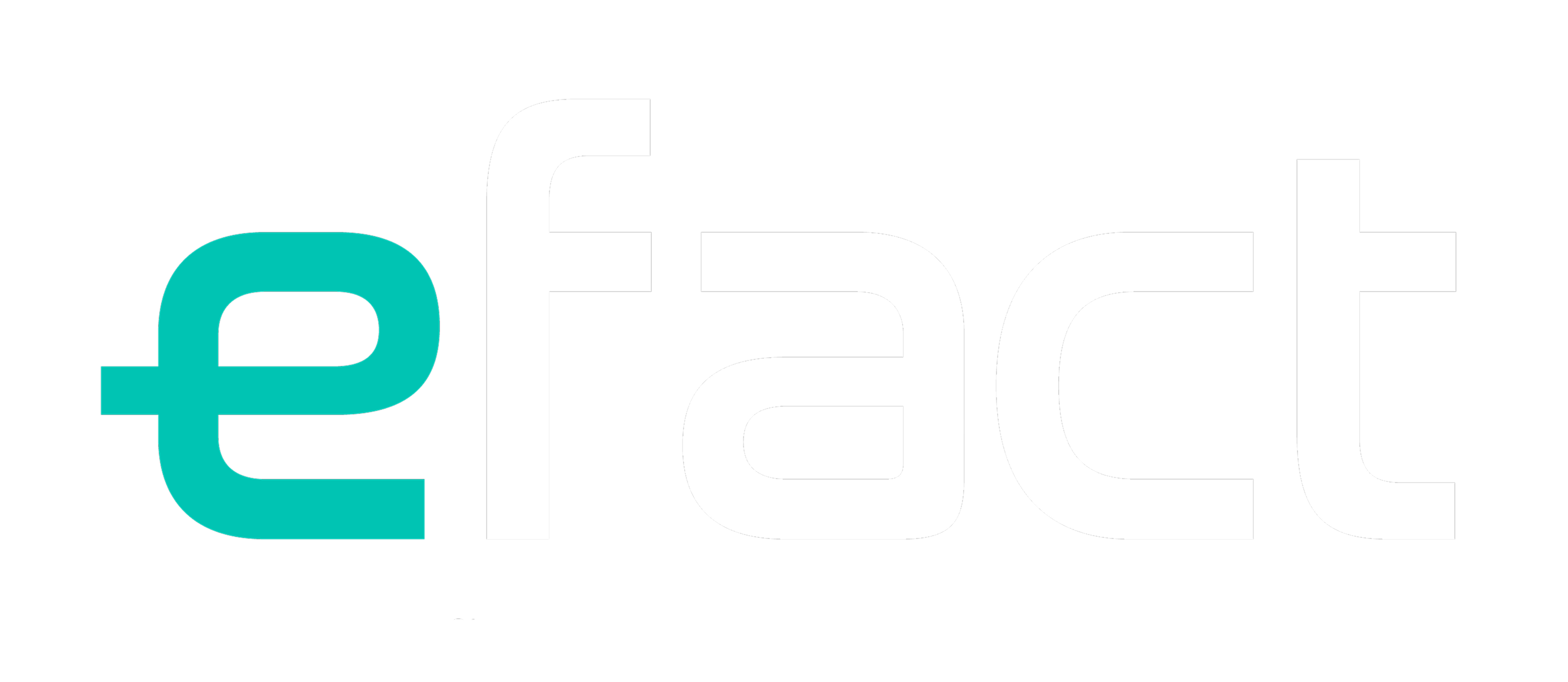 eFact Logo